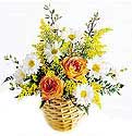 floriculture_india